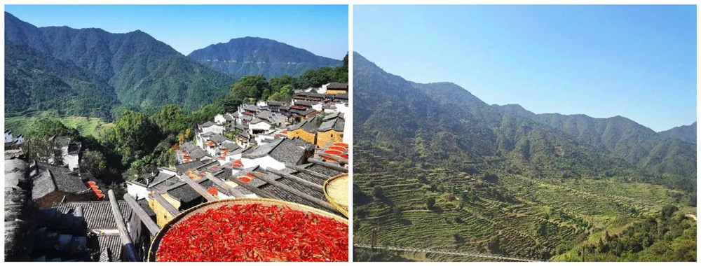 團建之旅丨晶天人，一起走向詩與遠方(圖1)